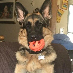 Meet your Posher, Nancy